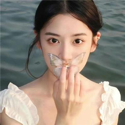 泰山寻宝
