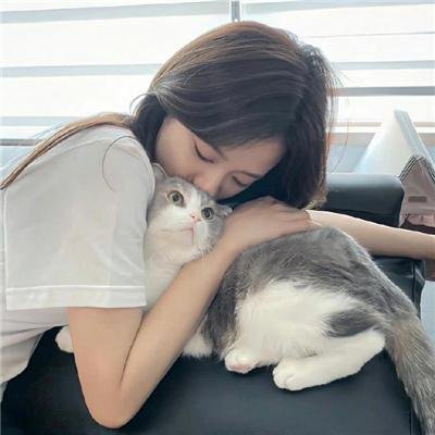 第3朵玫瑰